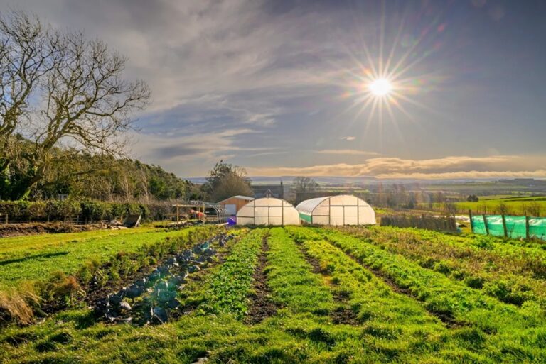 tyninghame community farm